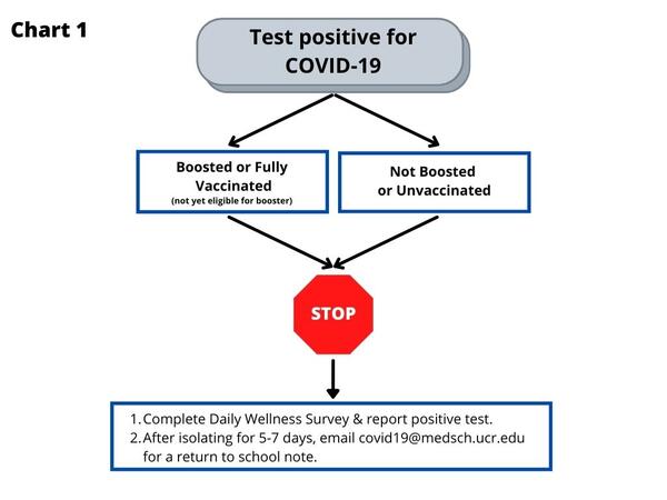 this chart is a graphical representation of the steps listed on this web page.