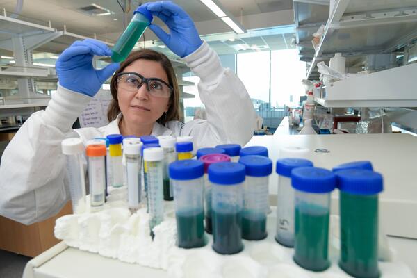 researcher looking at a test tube