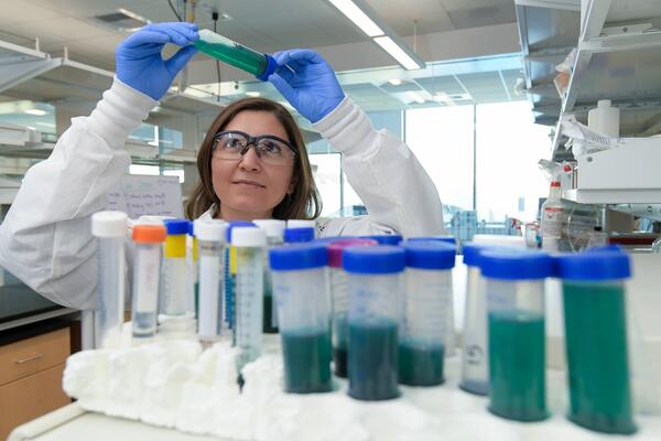 Woman looking at test tube